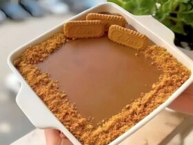 برای دیدن دسر بیسکویت ، دسر خوشمزه و ظریف