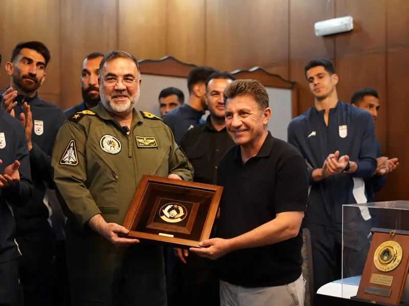 امیر قلانی نووی