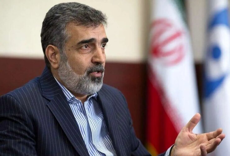 KAMALVANDı: اگر این تصمیم پذیرفته شود ، سطح همکاری با آژانس ایران را برطرف می کند.