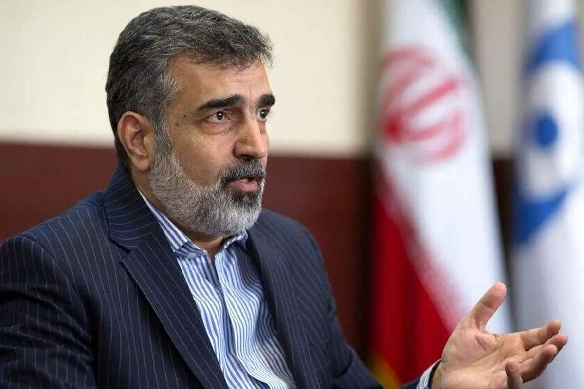 KAMALVANDı: اگر این تصمیم پذیرفته شود ، سطح همکاری با آژانس ایران را برطرف می کند.