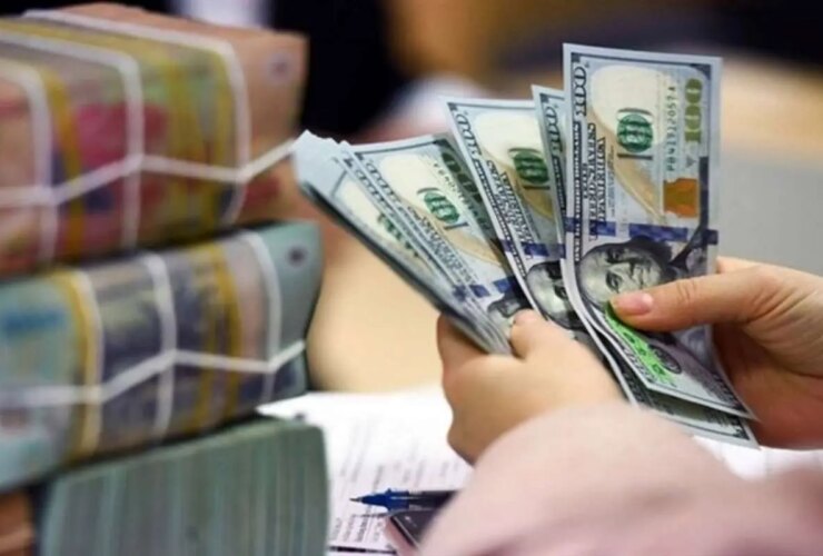خریداران دلار برف