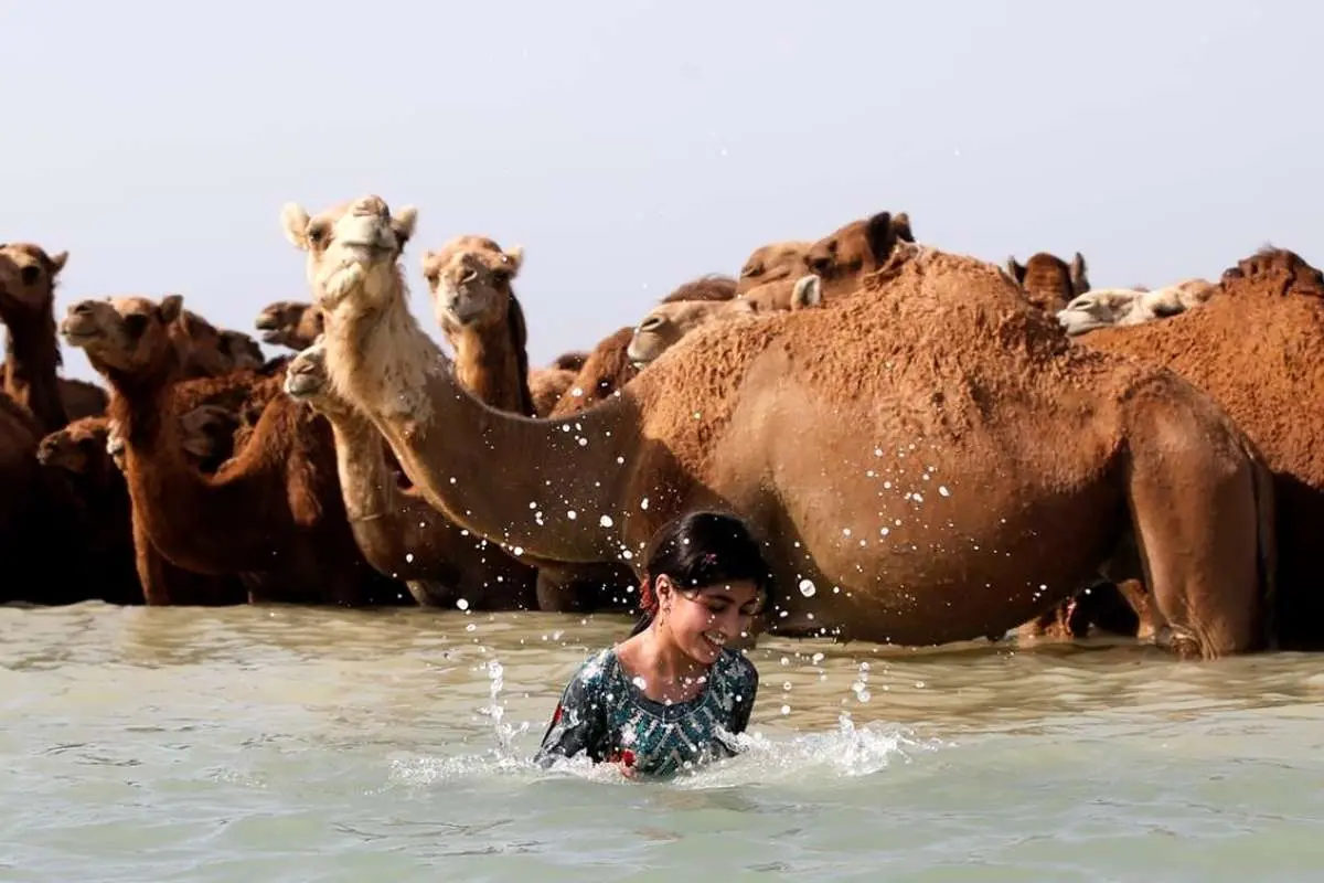 برای دیدن حمام در سواحل جزیره Qeshm