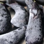 برای دیدن این روش را بدون سرخ کردن بادمجان قاب کنید