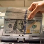 دستور Farzin برای اختصاص 1 میلیارد دلار واردات اساسی کالا