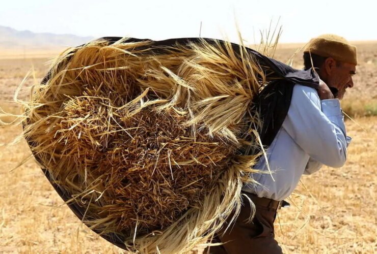 2.3 سپرده حساب کشور گندم