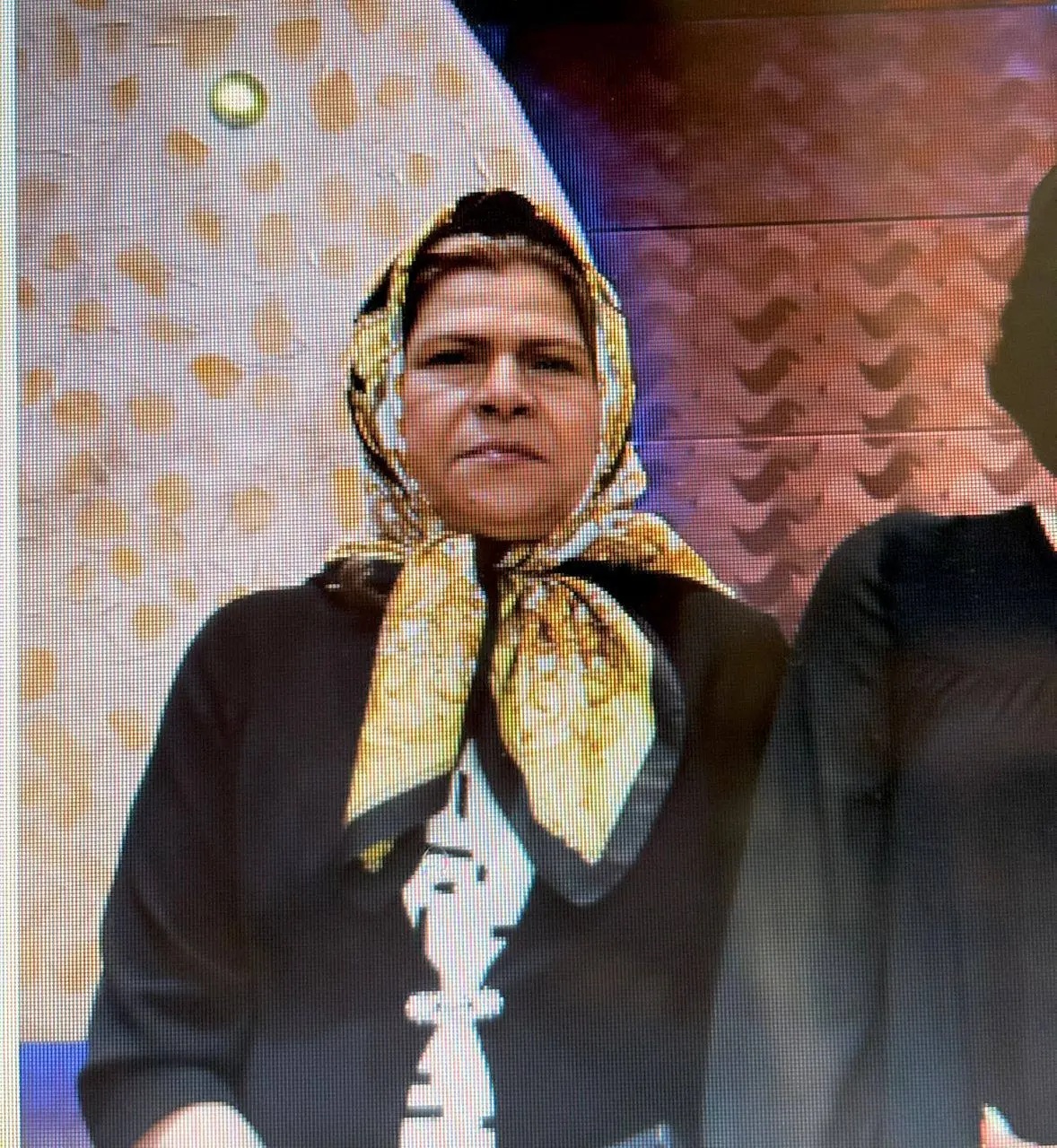 خانم حدیث! من مجبور نبودم تیله های آنها را برای ما بیاورم 5 فاطیما+موسوی+مادر+خانواده