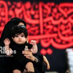 تصاویر نوزادان هسیین