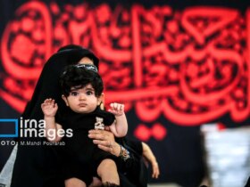 تصاویر نوزادان هسیین