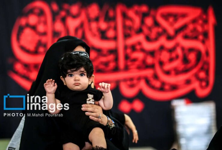 تصاویر نوزادان هسیین