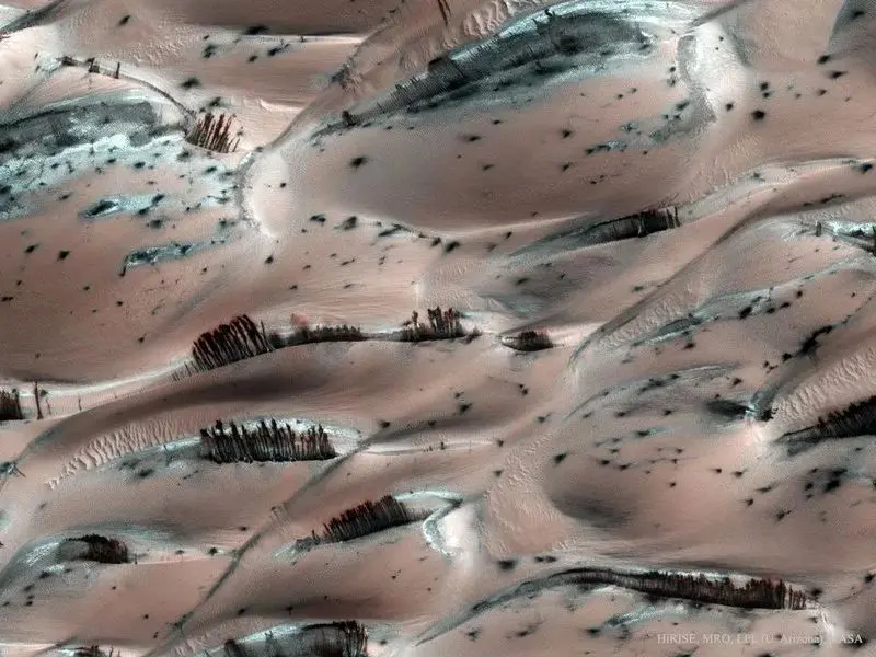 سرود