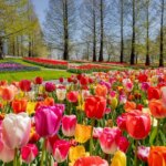 Tabal to Hafez دوشنبه ، 12 ژوئن 1404 ؛ دست زولف ، خطا وارد یک اشتباه شد ...