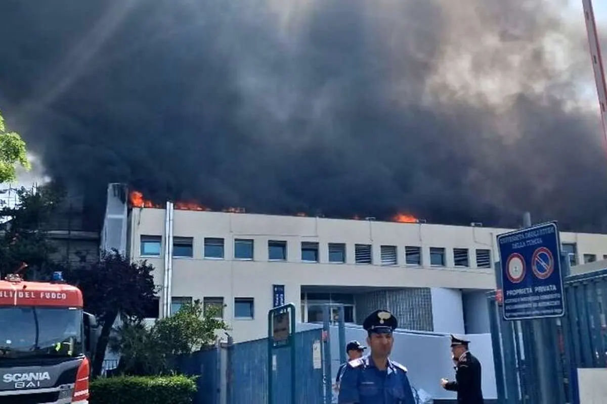 آتش سوزی جامع در دانشگاه Tawsa ، ایتالیا 4 آتش سوزی جامع در دانشگاه Tawsa ، ایتالیا