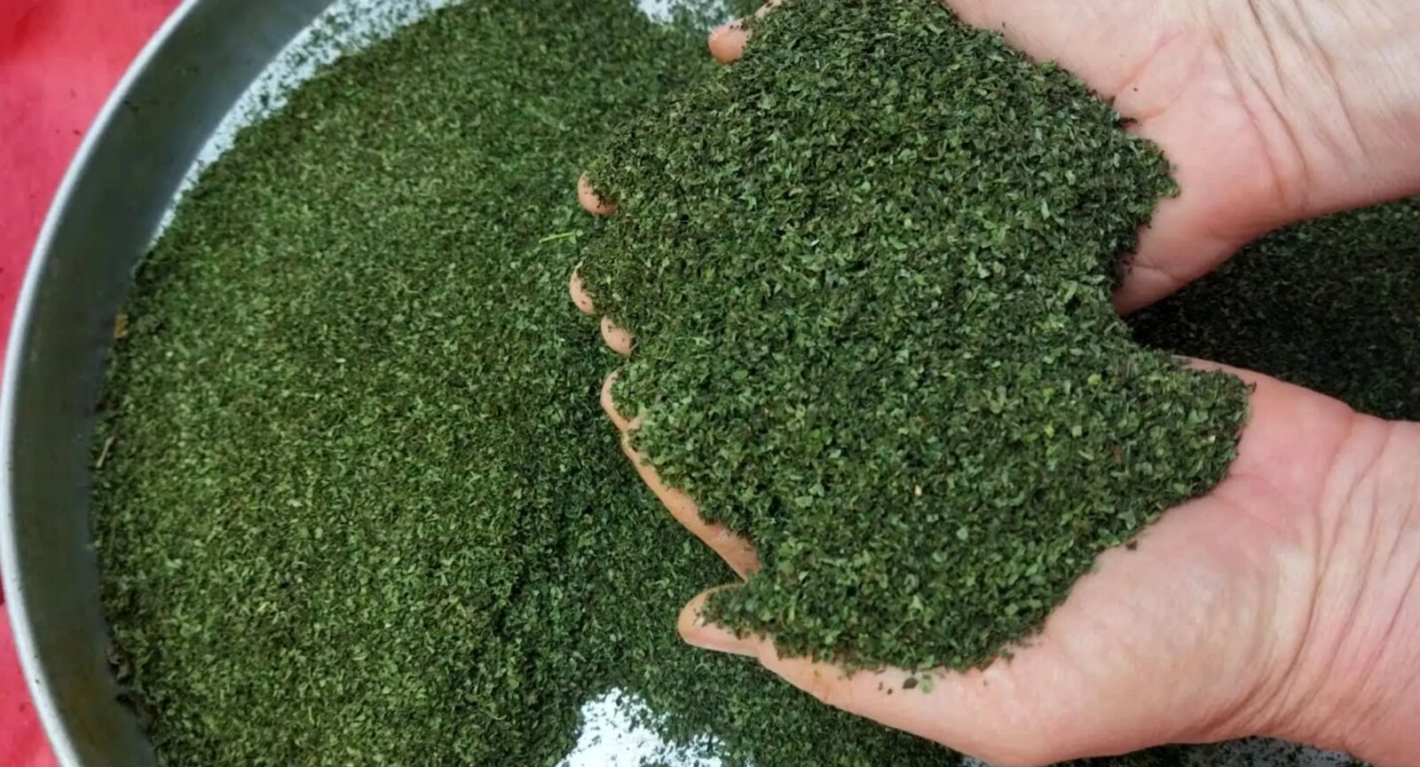 آموزش های ساده و سریع در خانه نعناع در خانه