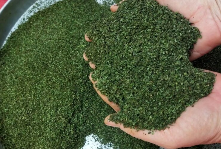 آموزش های ساده و سریع در خانه نعناع در خانه