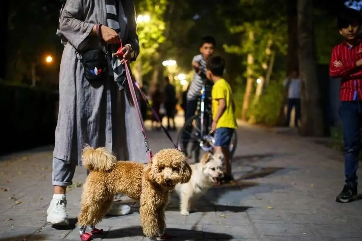 آیا فروش و بیرون بردن آن به صورت رایگان سگ ممنوع است؟!