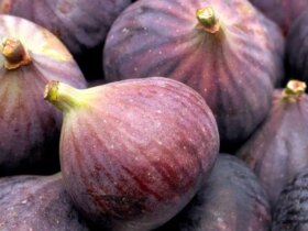این تابستان میوه ، التهابی ، ضد سرطان و فشار خون بالا