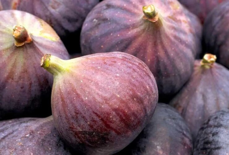 این تابستان میوه ، التهابی ، ضد سرطان و فشار خون بالا