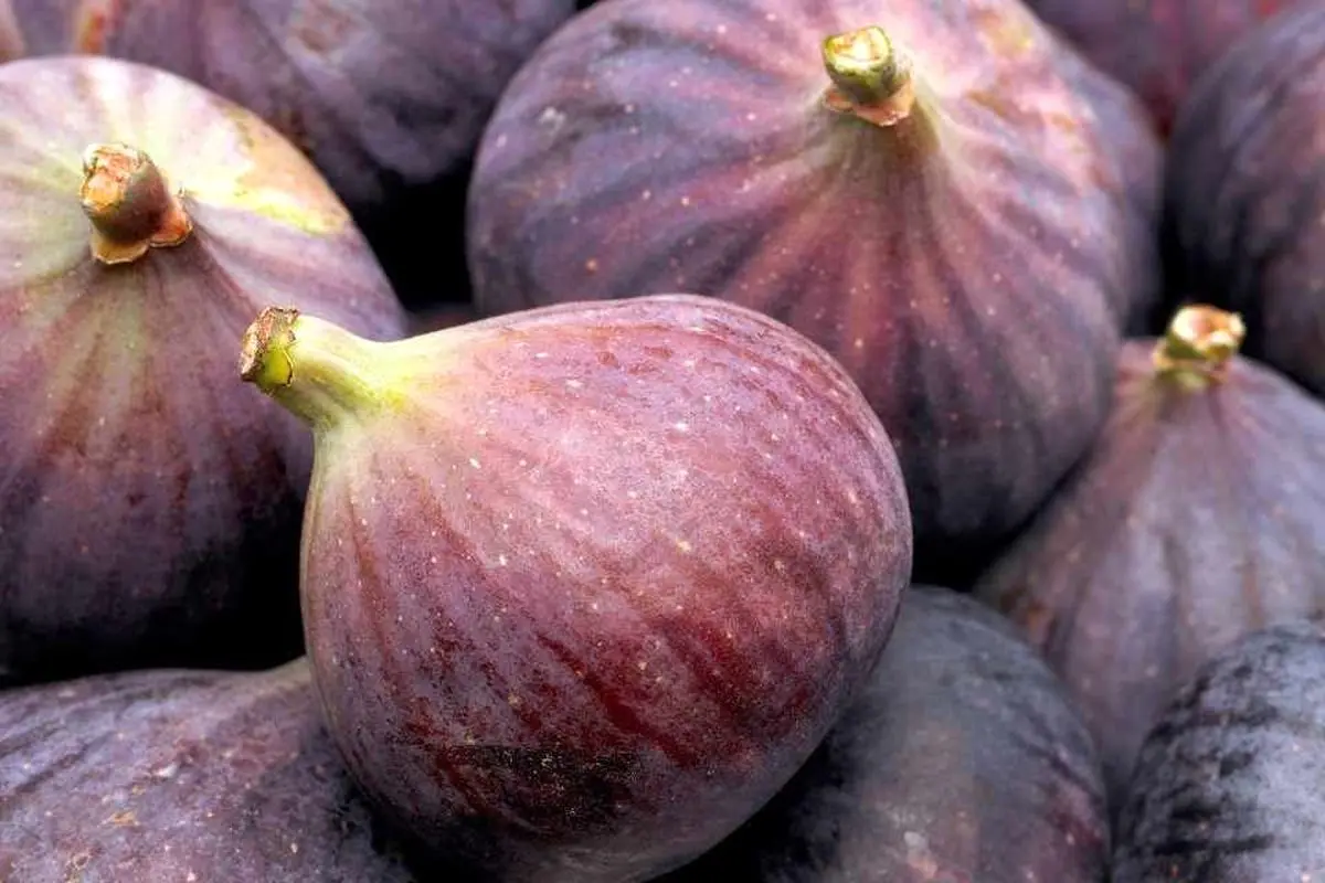 این تابستان میوه ، التهابی ، ضد سرطان و فشار خون بالا