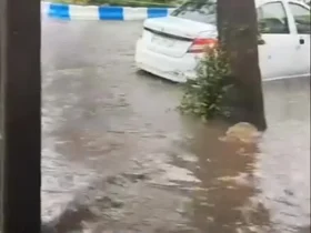 برای دیدن بارندگی شدید و سیل در معابر کف