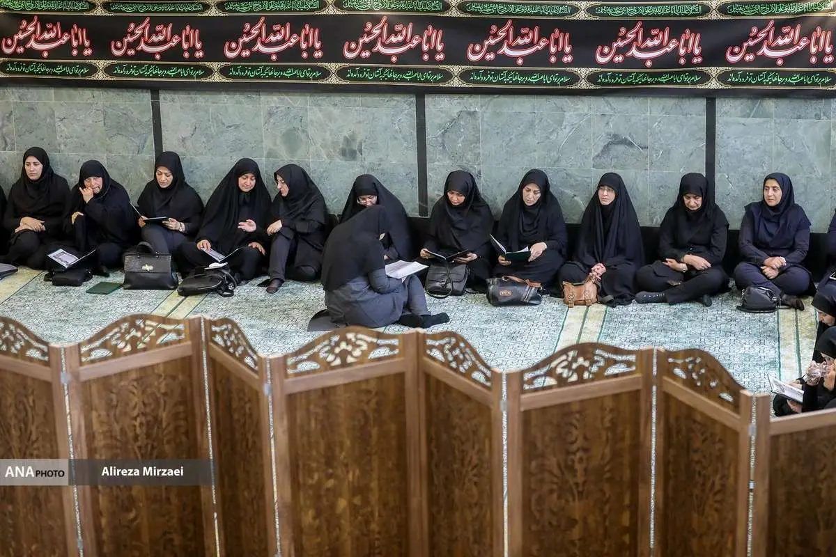 تصاویر رئیس دانشگاه آزاد اسلامی به یاد تهشان 4 تصاویر رئیس دانشگاه آزاد اسلامی به یاد تهشان
