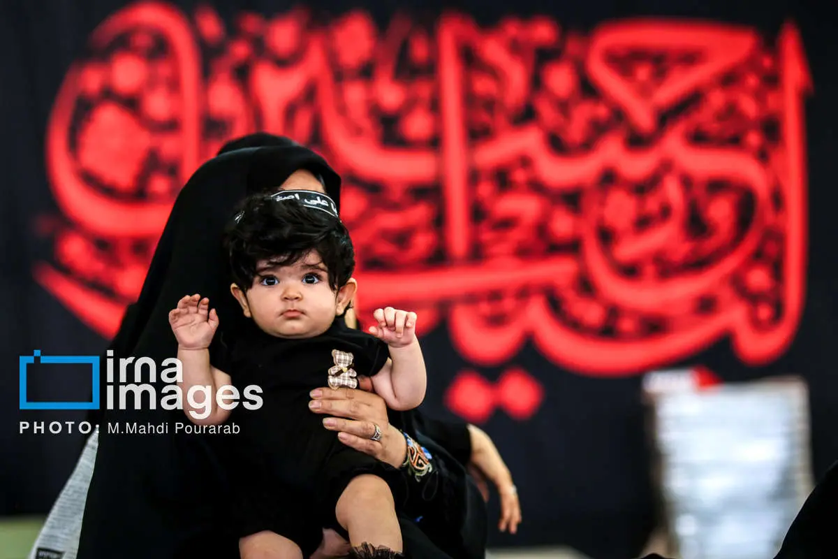 تصاویر نوزادان هسیین 4 تصاویر نوزادان هسیین