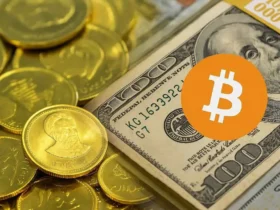 تفاوت بین دلار ، سکه و طلا بین بیت کوین در ایران چیست؟