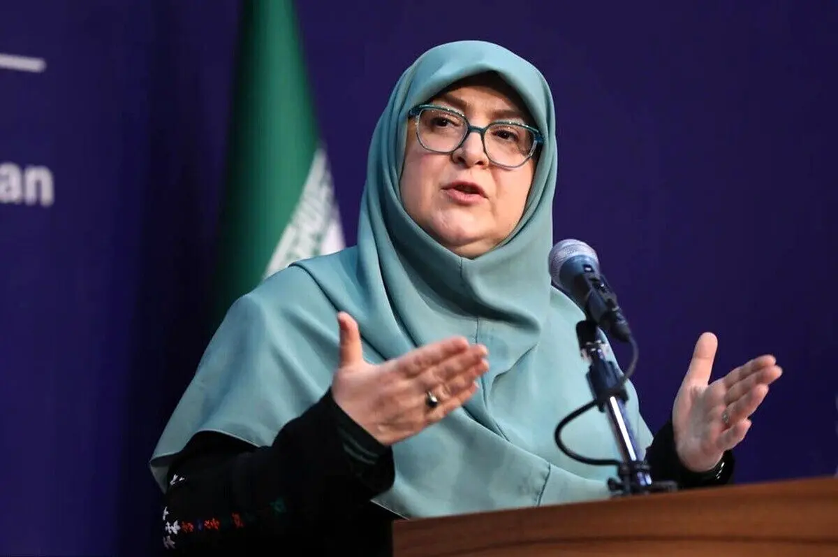 سخنگوی دولت: ایران ساکت نخواهد بود