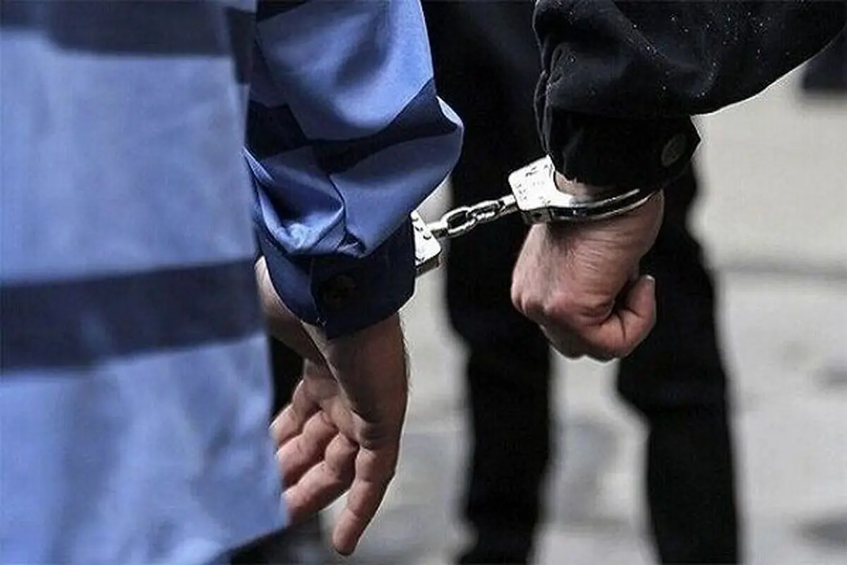 سرقت رانندگان که از پوشش بیمار عبور می کنند