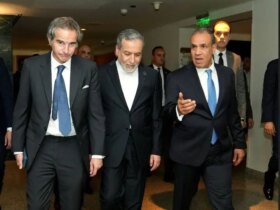هدف اراکچی دیدار با رافائل گروسی در مصر چه بود؟