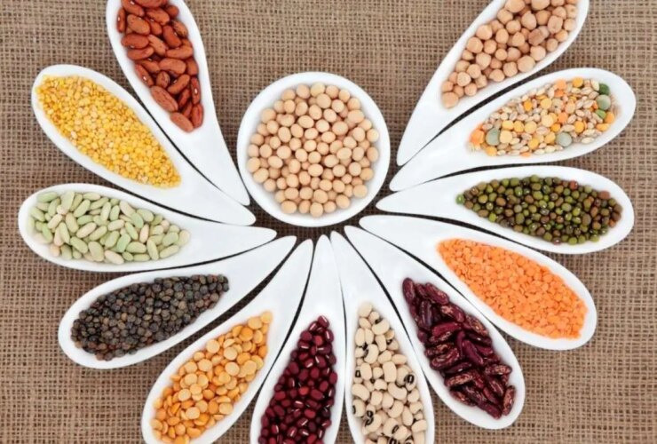 قیمت تأیید شده لوبیای وارداتی اعلام شد