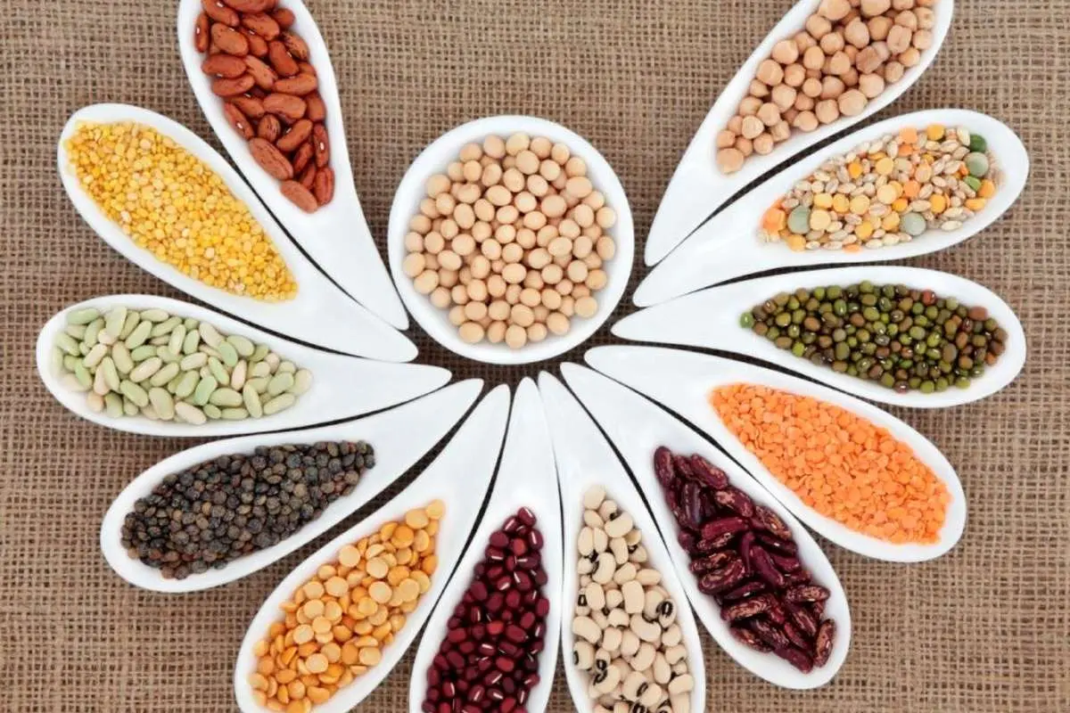 قیمت تأیید شده لوبیای وارداتی اعلام شد