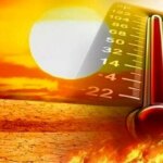 دفاتر سیستان و بلوچستان از ساعت 9 صبح بسته شده اند