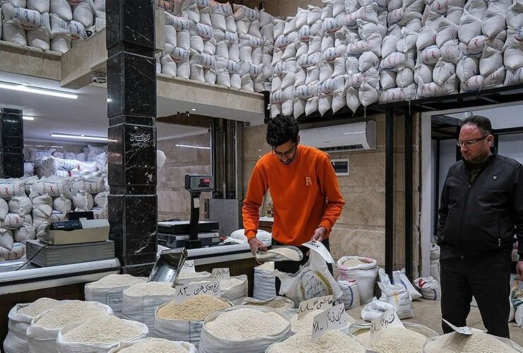 آخرین وضعیت بازار برنج ؛ جهاد به کشاورزی هشدار داد 9 آخرین وضعیت بازار برنج ؛ جهاد به کشاورزی هشدار داد