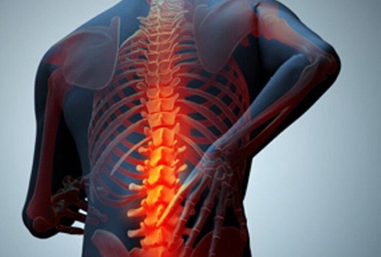 بازگشت صدمات نخاعی در سازمان غیر انتفاعی