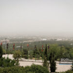کپی از طبیعت برای مبارزه با آلودگی هوا