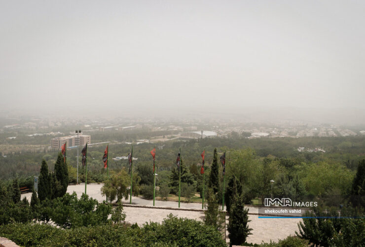 کپی از طبیعت برای مبارزه با آلودگی هوا