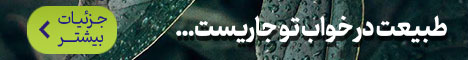 balosa_nean