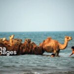 تصاویر حمام در خلیج بصره
