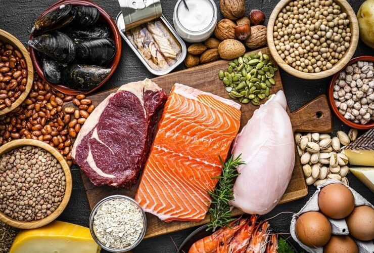 کدام غذاها حاوی پروتئین هستند؟
