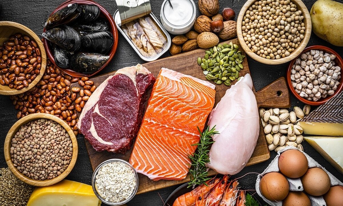 کدام غذاها حاوی پروتئین هستند؟