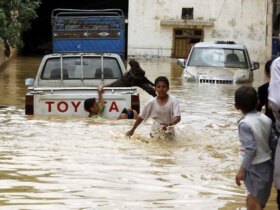 برای دیدن بازیابی نفس گیر راننده
