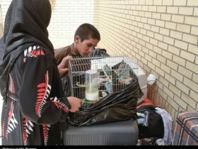 تصاویر جدا کردن شهروندان افغان از زاهدان