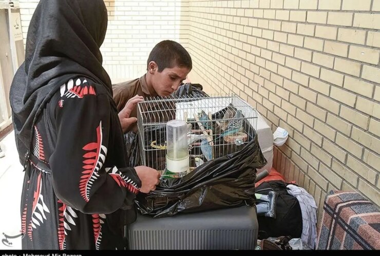 تصاویر جدا کردن شهروندان افغان از زاهدان 23 تصاویر جدا کردن شهروندان افغان از زاهدان