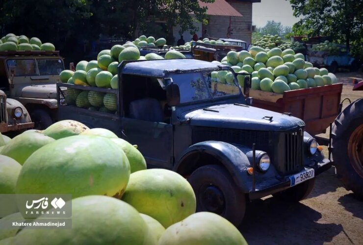 تصاویر هندوانه در اتومبیل های قدیمی