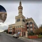 مجازات زندان برای مردی برای آزادی موش در مسجد
