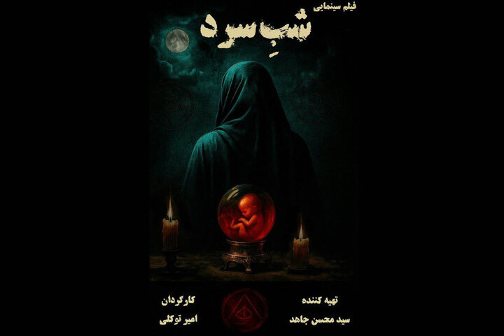 "شب سرد" به یک محصول مشترک ایران و فرانسه تبدیل شد