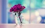 Tabal 29 ژوئیه 2008 یکشنبه ؛ غلام نرهای مست در تاج ها ...
