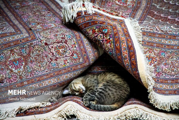 تصویر ؛ خلق و خوی بازار فرش تهران