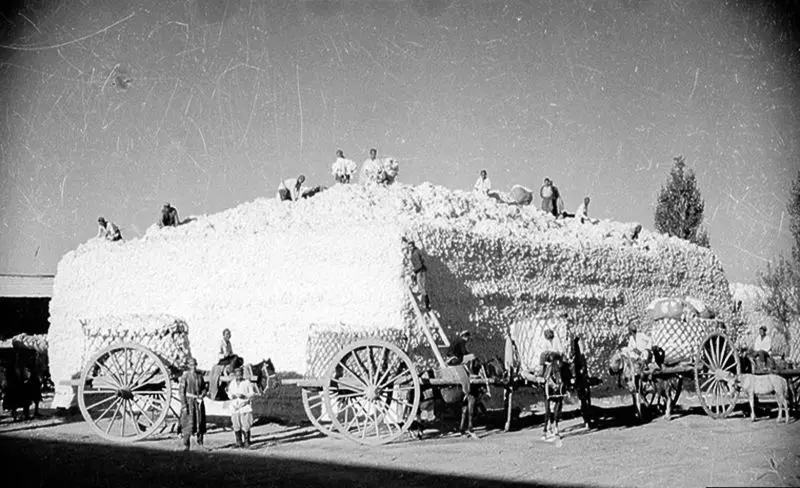 ازبکستان قدیمی