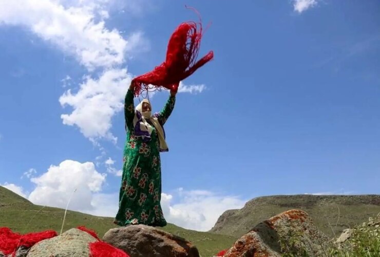 تصاویر پشم عشایر قدیمی Arasbaran 30 تصاویر پشم عشایر قدیمی Arasbaran